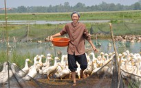 Hoài Linh trổ tài huấn luyện đỉa